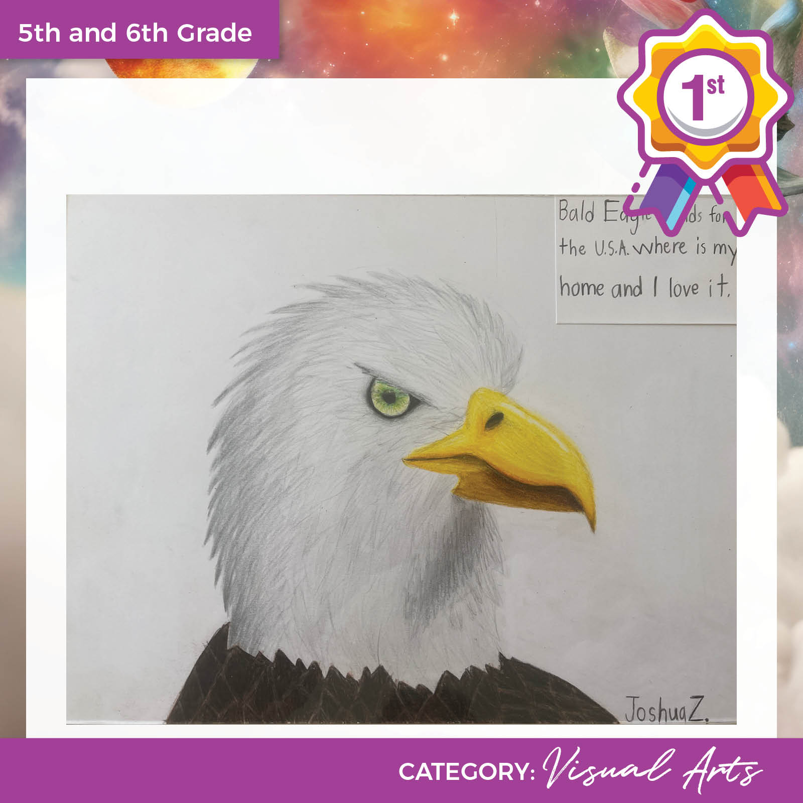 Drawing of bald eagle head