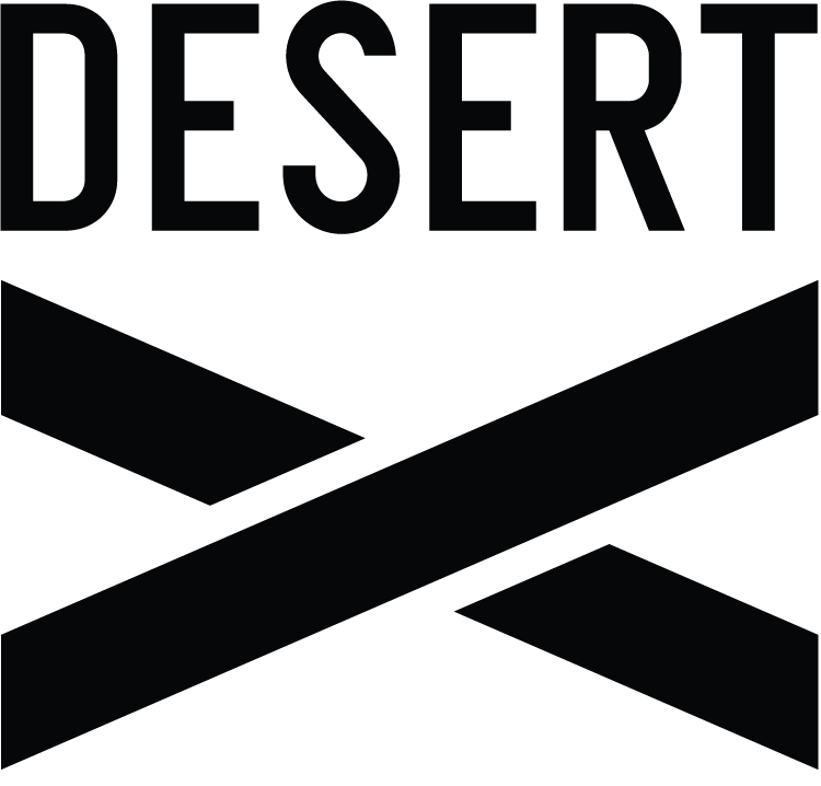 DX21_Logo - Copy